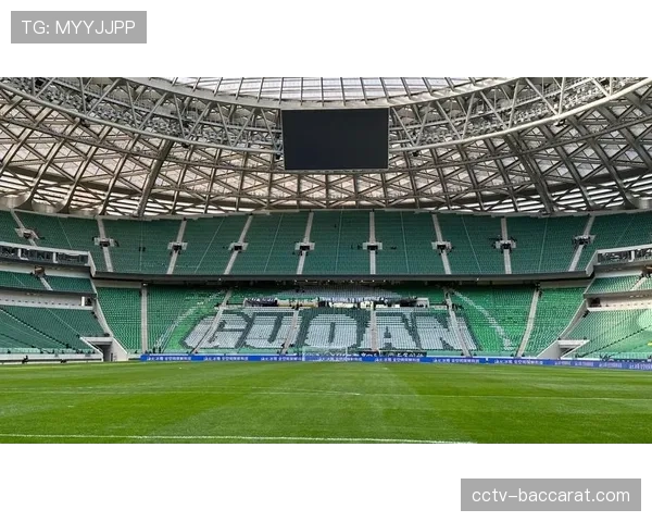 现场直击:沙尔克04球迷在保级关键战前巨型TIFO覆盖看台